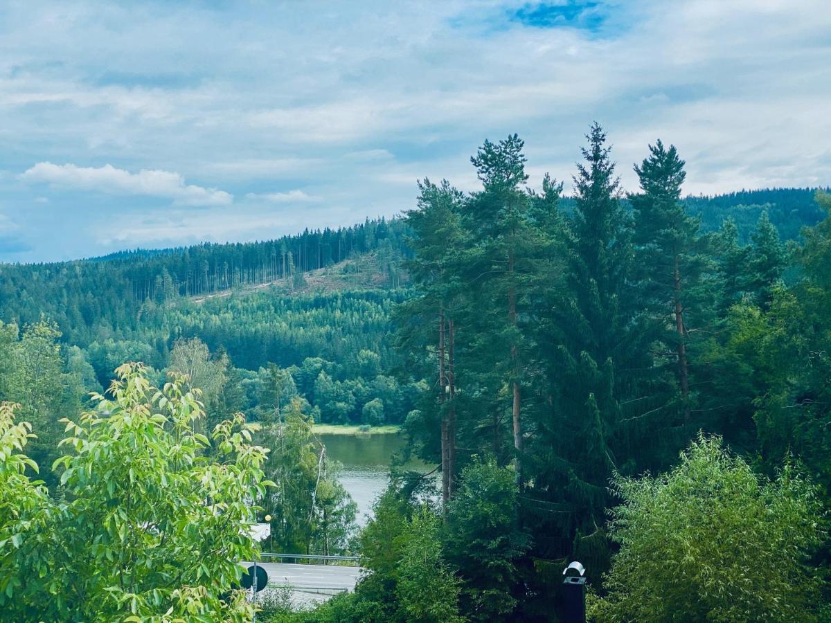 Apartmány Lipno 46 Lipno nad Vltavou Exteriér fotografie
