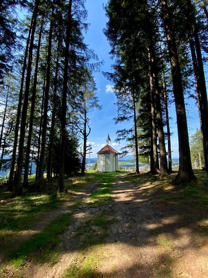 Apartmány Lipno 46 Lipno nad Vltavou Exteriér fotografie
